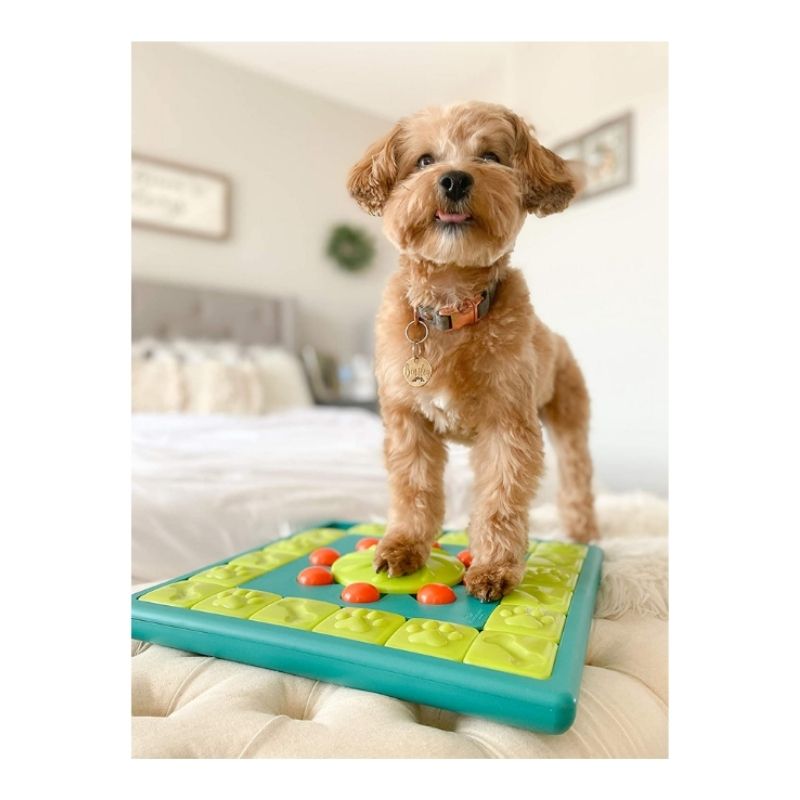 MultiPuzzle Interactive Dog Treat Puzzle Toy, Blue